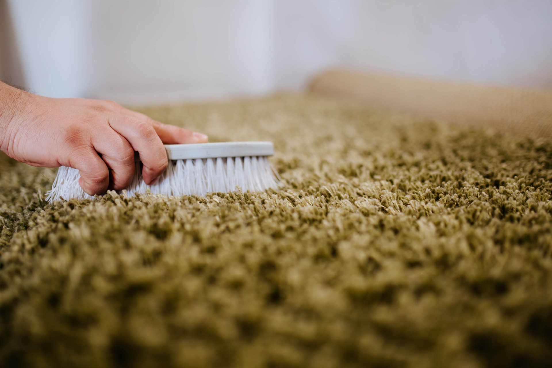 Man is cleaning carpet with brush